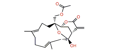 Durumhemiketalolide C